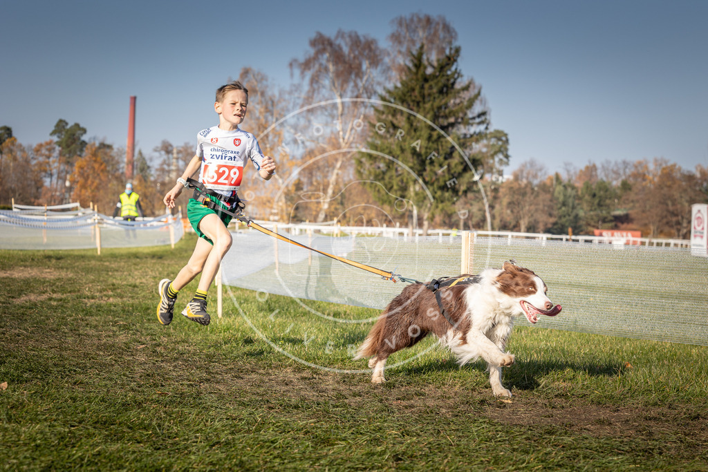 CaniXpix_0L8A8878 | Hundefotografie, Tierfotograf, Pfotenfotografie, Fotoshooting Hund, Hunde Portrait, Hundesport, Hundeportraits, Heideshooting, Hunde, Sportfotograf, Hundefotograf, Turnierhundsport, THS,  - Realisiert mit Pictrs.com