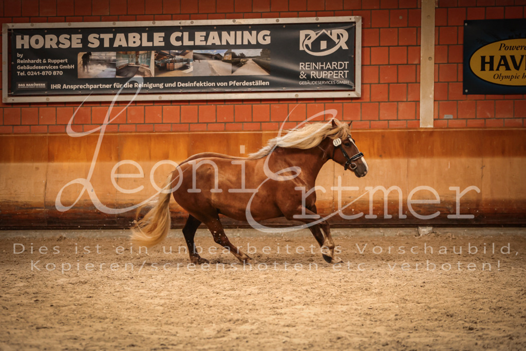 SaFL00428 | Leoni Ertmer Photography - Realisiert mit Pictrs.com