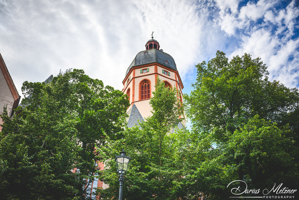 DSC_7126 | Fotografien, Fotos und Bilder aus Mainz, Frankfurt, Wiesbaden und anderen Orten auf der Welt - Fotografiert von Darius Metzner