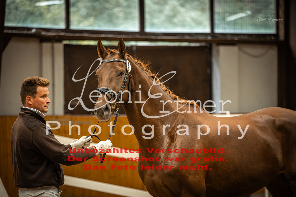 1FS_L00082 | Leoni Ertmer Photography - Realisiert mit Pictrs.com