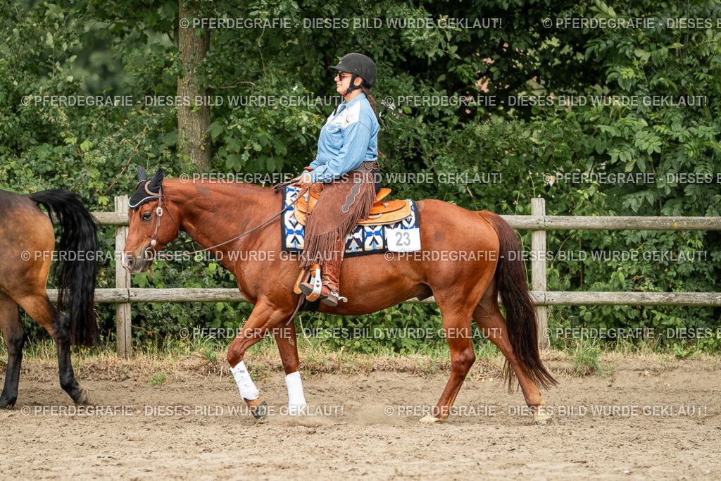 DSC03110 | Pferdegrafie