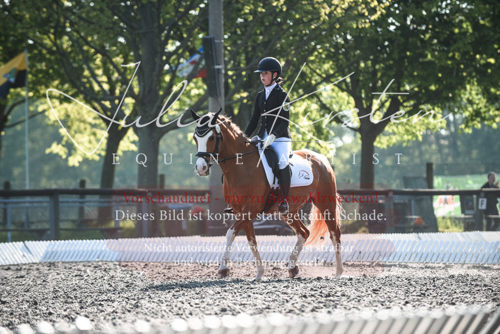 DSC_8266 | Pferde- und Turnierfotografie in Westsachsen. Pferdeportraits, Auftragszeichnungen und intuitive Kunst.