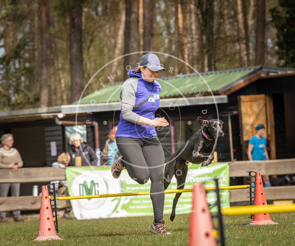 Pfotenfotografie_DV3A6470 | Hundefotografie, Tierfotograf, Pfotenfotografie, Fotoshooting Hund, Hunde Portrait, Hundesport, Hundeportraits, Heideshooting, Hunde, Sportfotograf, Hundefotograf, Turnierhundsport, THS,  - Realisiert mit Pictrs.com
