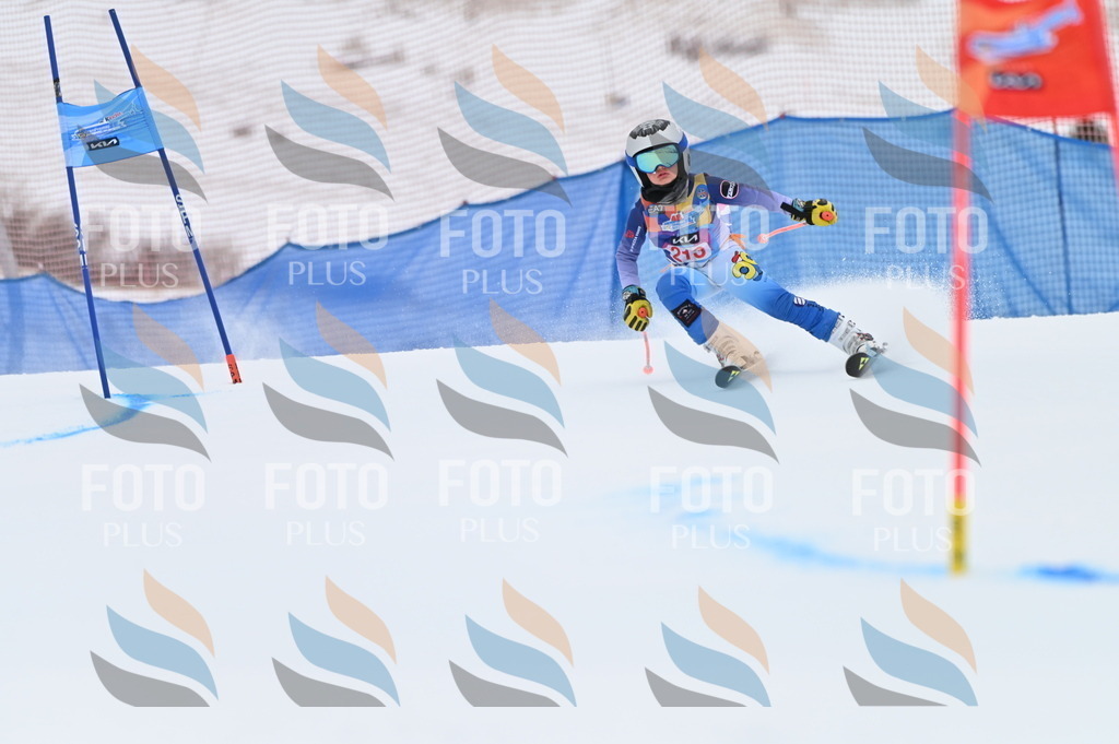 BGV_2595 | holidayphoto