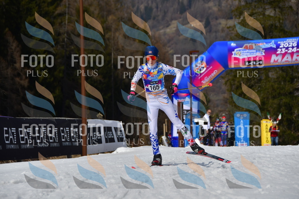 _DSC0495 | holidayphoto