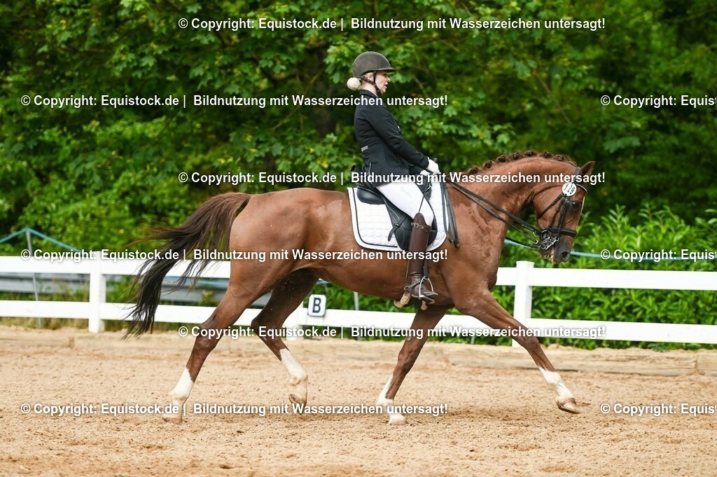 20230716_01_Dressurprüfung Kl.M_0552 | equistock