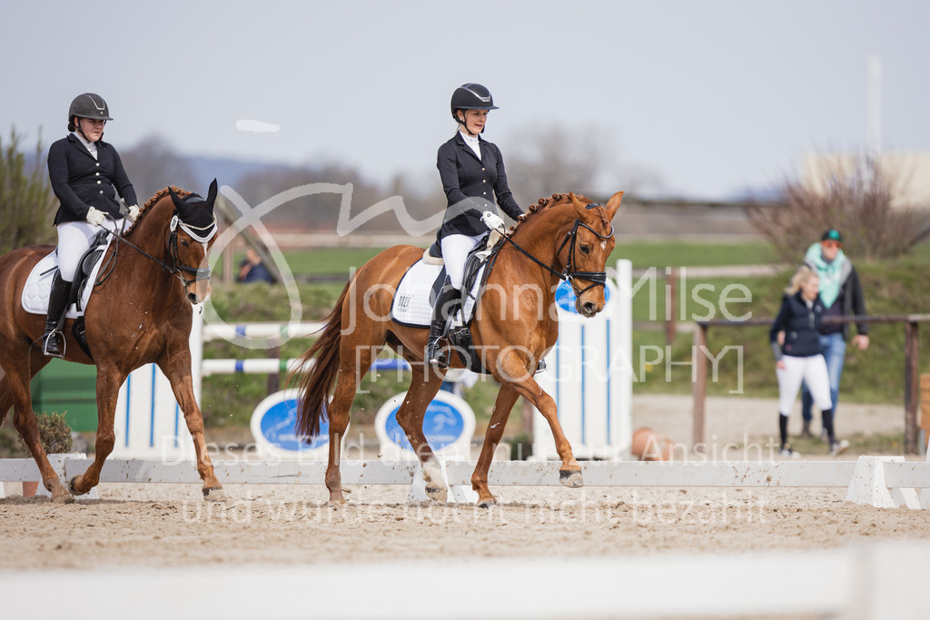 230410_Frühlingsfest_A-Dressur-462 | Deine schönsten Turniermomente als professionelle Fotos! Entdecke hochwertige Pferdesport-Fotografie im Online-Shop. Jetzt Fotos finden & bestellen!