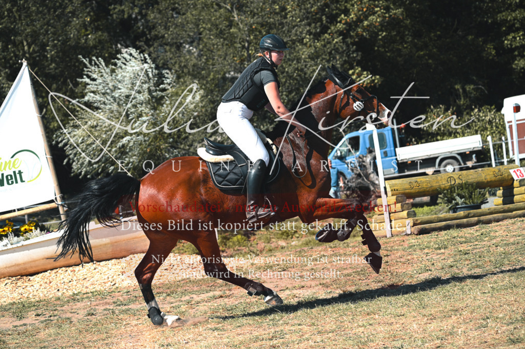 DSC_8128 | Pferde- und Turnierfotografie in Westsachsen. Pferdeportraits, Auftragszeichnungen und intuitive Kunst.