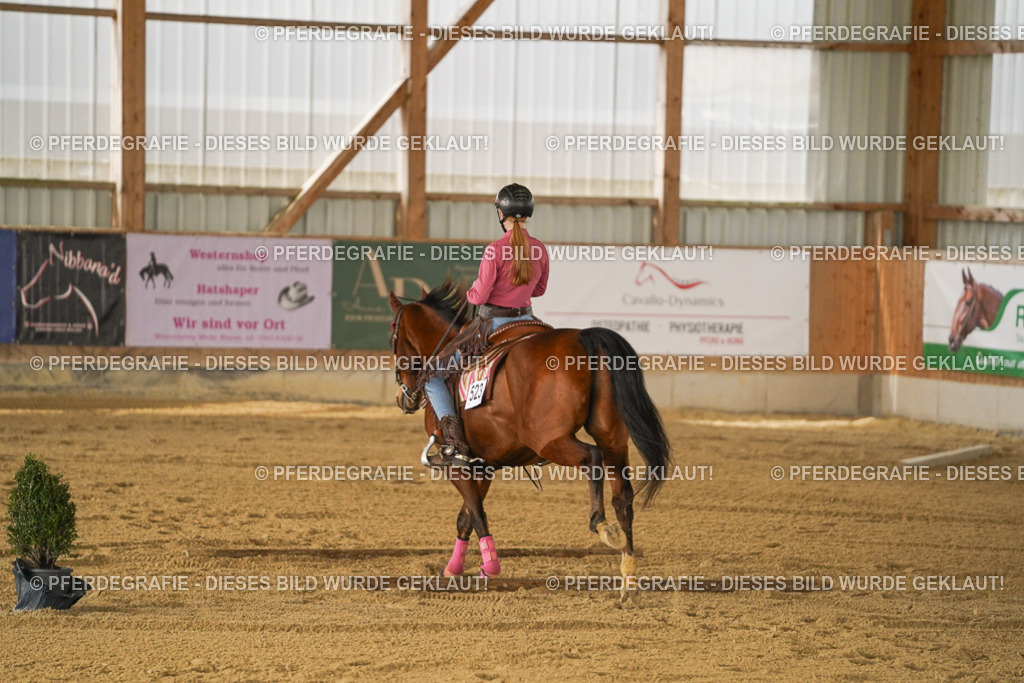 DSC05878 | Pferdegrafie