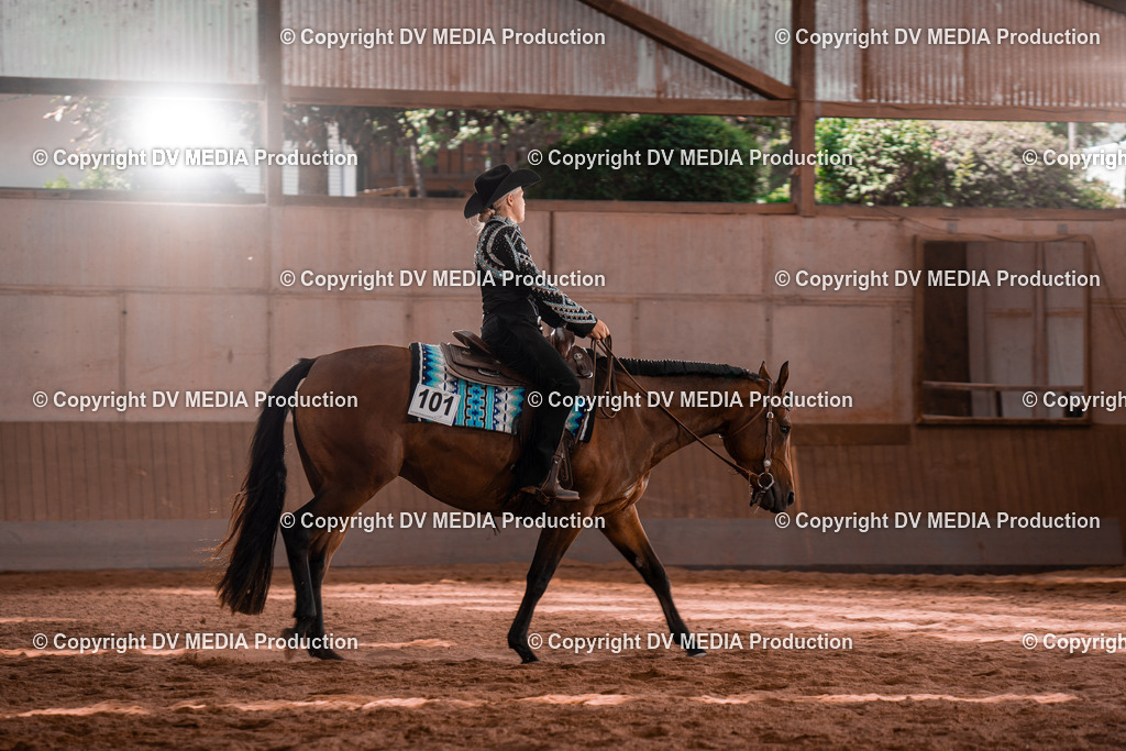 NE100500 | dv-media-shop - Realisiert mit Pictrs.com