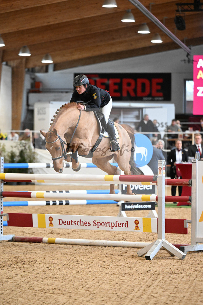 Arezzo Gold_HLG Marbach_2251362 | hf-fotografie - Realisiert mit Pictrs.com