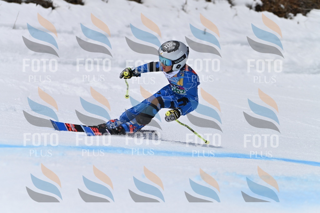 BGV_5205 | holidayphoto