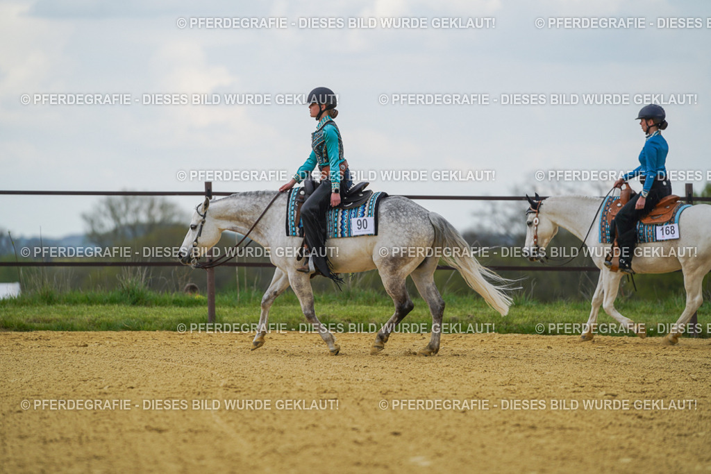 DSC06497 | Pferdegrafie