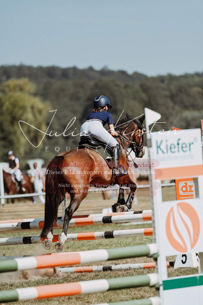 DSC_0065 | Pferde- und Turnierfotografie in Westsachsen. Pferdeportraits, Auftragszeichnungen und intuitive Kunst.