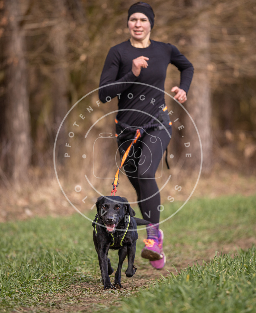 DV3A6085 | Hundefotografie, Tierfotograf, Pfotenfotografie, Fotoshooting Hund, Hunde Portrait, Hundesport, Hundeportraits, Heideshooting, Hunde, Sportfotograf, Hundefotograf, Turnierhundsport, THS,  - Realisiert mit Pictrs.com
