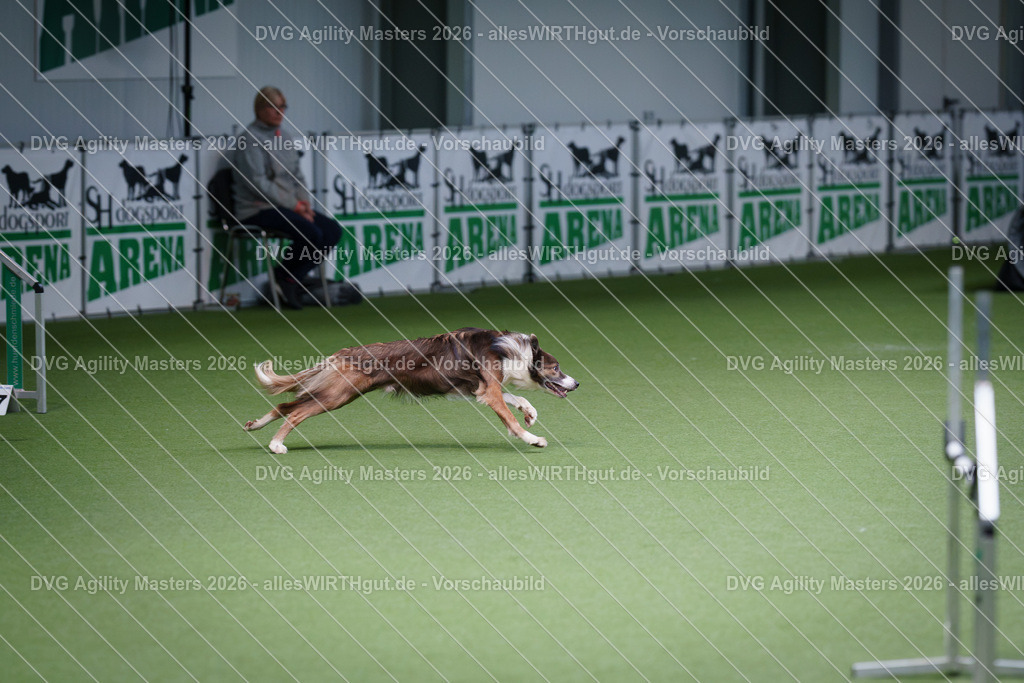 allesWIRTHgut_Tierfotografie-DVG_Agility_Masters_2026-10_56-7R500874 | Professionelle Tierfotografie in Mönchengladbach von Daniel Wirth (allesWIRTHgut). Liebevolle & natürliche Bilder von Hunden & Katzen für unvergessliche Erinnerungen.