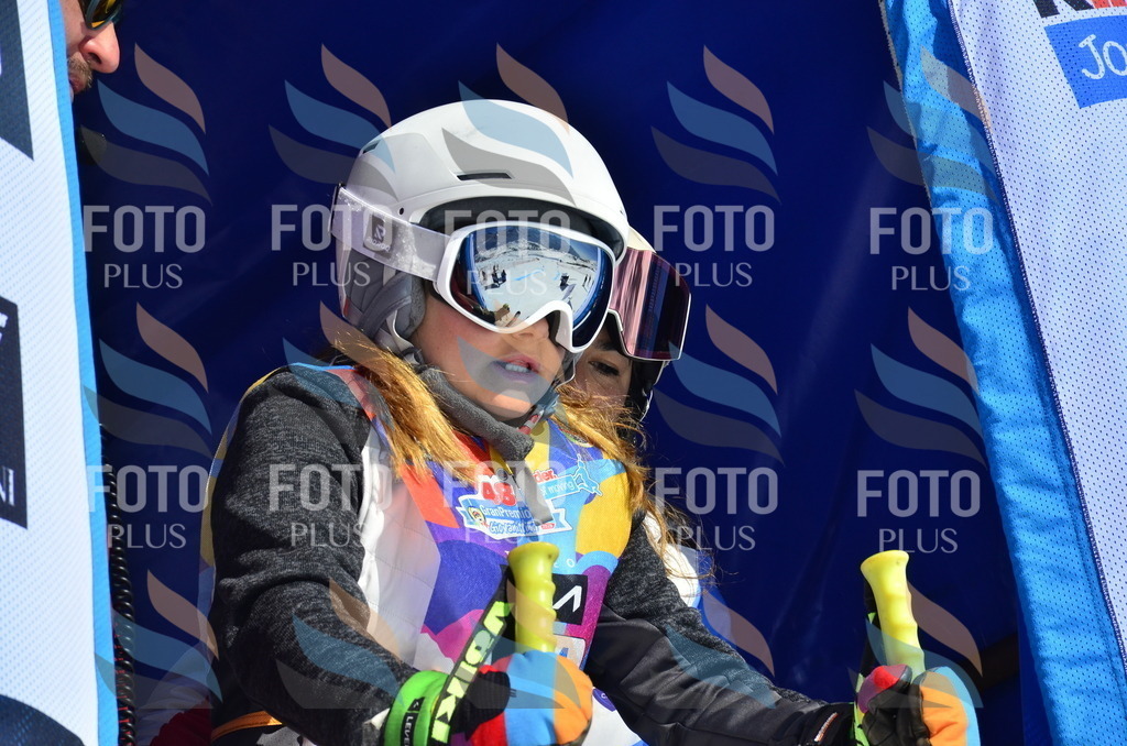 _ELE0004 | holidayphoto