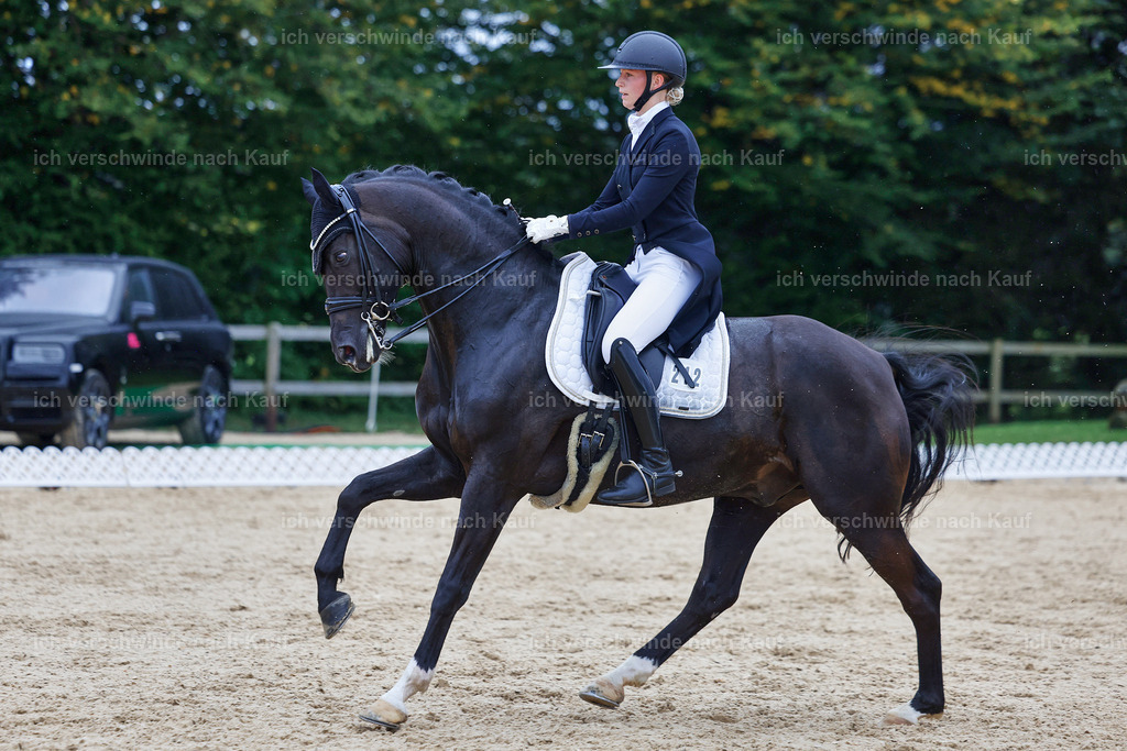 8_1-212-Klasse S_  -StoibPH-3935 | working equitationturnier fotograf videograf stoibphotography marixx film working equitation deutschland reitsport turnierfotografie eventfotografie equestrian events