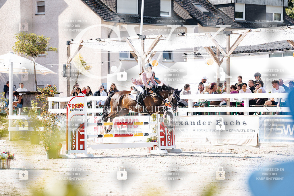 CK907702 | Turnierfotografie Pferdefotografie Trier Rheinland-Pfalz Pferdesport Reitsport Tierfotografie Sportfotografie Pferdevideo Pferdevideografie Equestrianvideography equestrianphotography  - Realisiert mit Pictrs.com