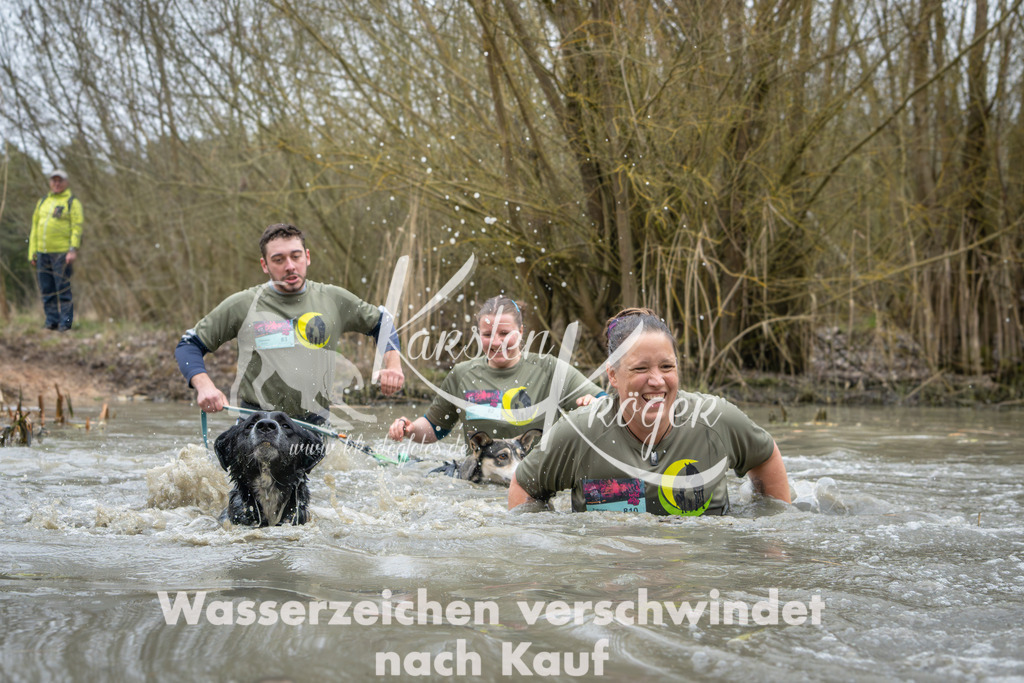 1337_ZZ90884 | kk-dogfotos