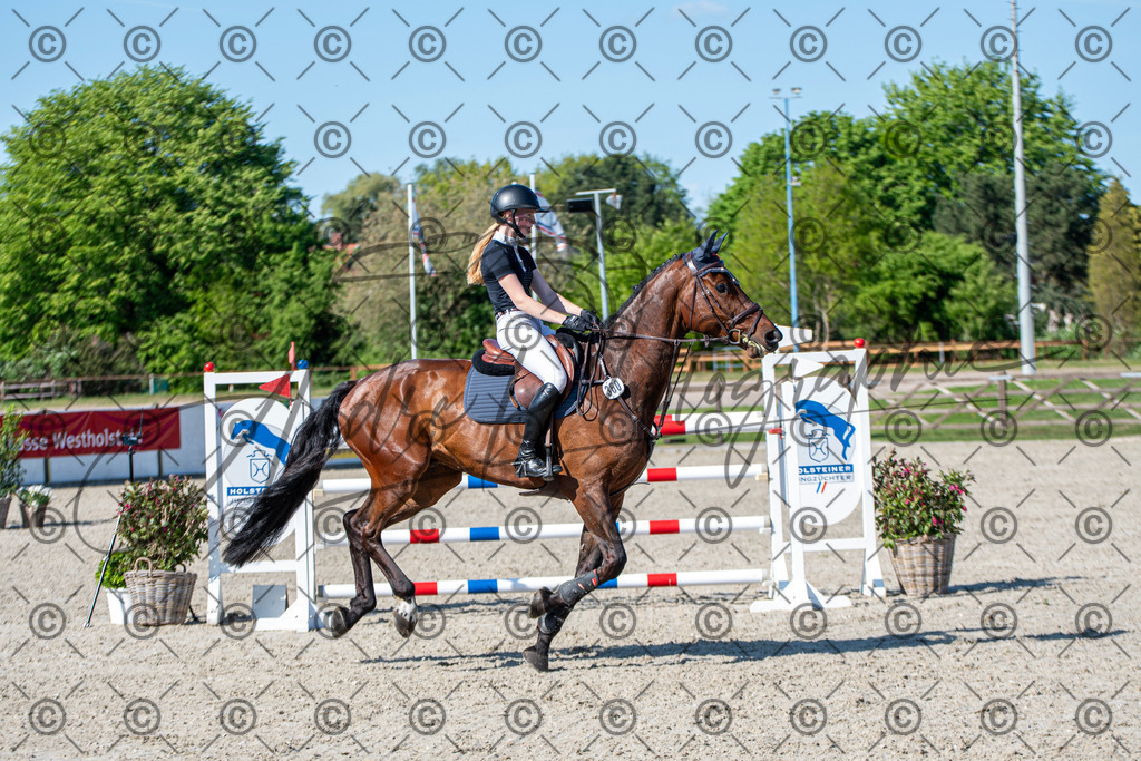 KPT_1717 | andre_photographic