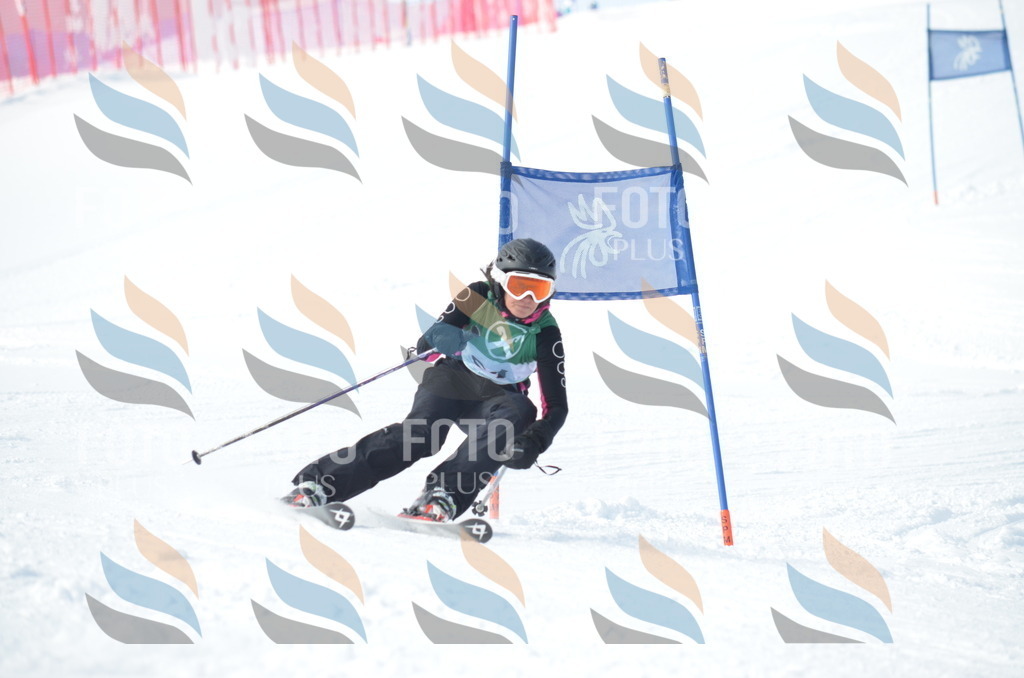 D8864 | holidayphoto