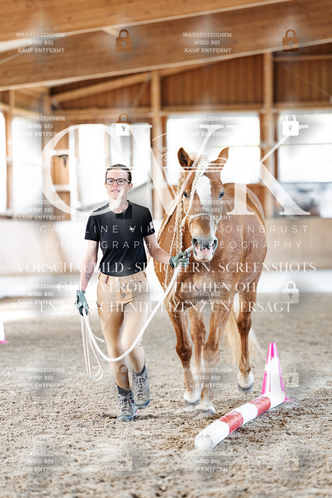 CK905888 | Turnierfotografie Pferdefotografie Trier Rheinland-Pfalz Pferdesport Reitsport Tierfotografie Sportfotografie Pferdevideo Pferdevideografie Equestrianvideography equestrianphotography  - Realisiert mit Pictrs.com