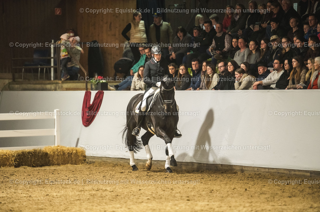 20240302_Hengstvorstellung_Marbach_TOMsPiC_1423 | equistock