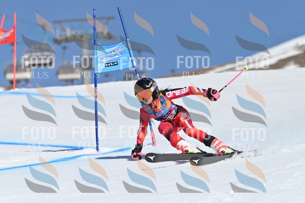 BGV_8413 | holidayphoto