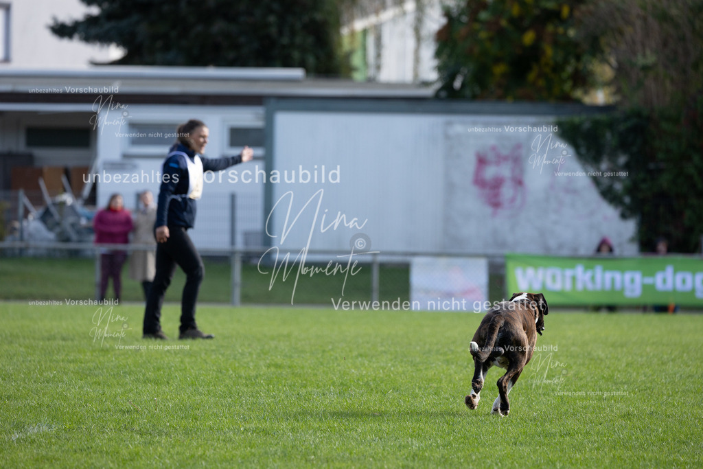 _16A6477 | Einzigartige Fotos von Hunden & Menschen –Actionfotos, Portraits, Vereinsaufnahmen & Paarshootings – authentisch, lebendig & mit Herz.