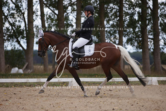 1J2A0915Charlotte Fehr_ Ikon 16_ Kn061_ Wöpkendorf_ Annalena Beier_ Quinn M_ Kn095 | Foto- und Videografie für alles rund ums Pferd. Hochwertige Bilder und Videos vom Spring- und Dressurreiten, Voltigieren & mehr. Jetzt aktuelle Veranstaltungen und Preise im Shop ansehen. - Realisiert mit Pictrs.com