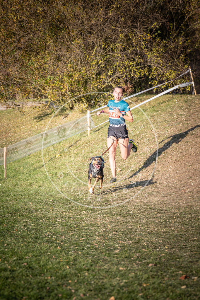 CaniXpix_0L8A9919 | Hundefotografie, Tierfotograf, Pfotenfotografie, Fotoshooting Hund, Hunde Portrait, Hundesport, Hundeportraits, Heideshooting, Hunde, Sportfotograf, Hundefotograf, Turnierhundsport, THS,  - Realisiert mit Pictrs.com