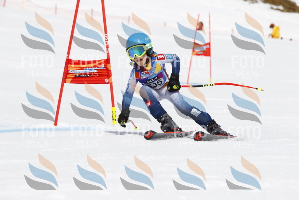 _U3G5995 | holidayphoto