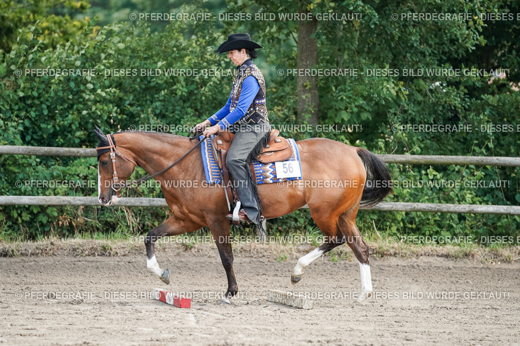 DSC06226 | Pferdegrafie