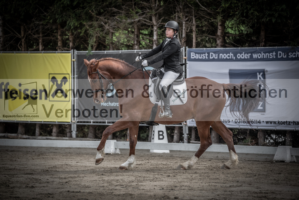 DSC_8914 | equestrian-live-com