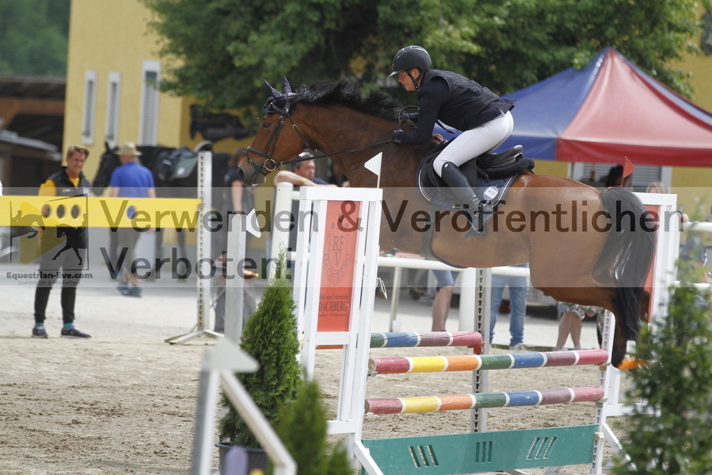 _MG_3374 | equestrian-live-com