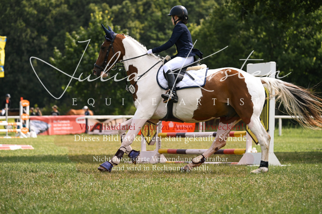 DSC_9071 | Pferde- und Turnierfotografie in Westsachsen. Pferdeportraits, Auftragszeichnungen und intuitive Kunst.
