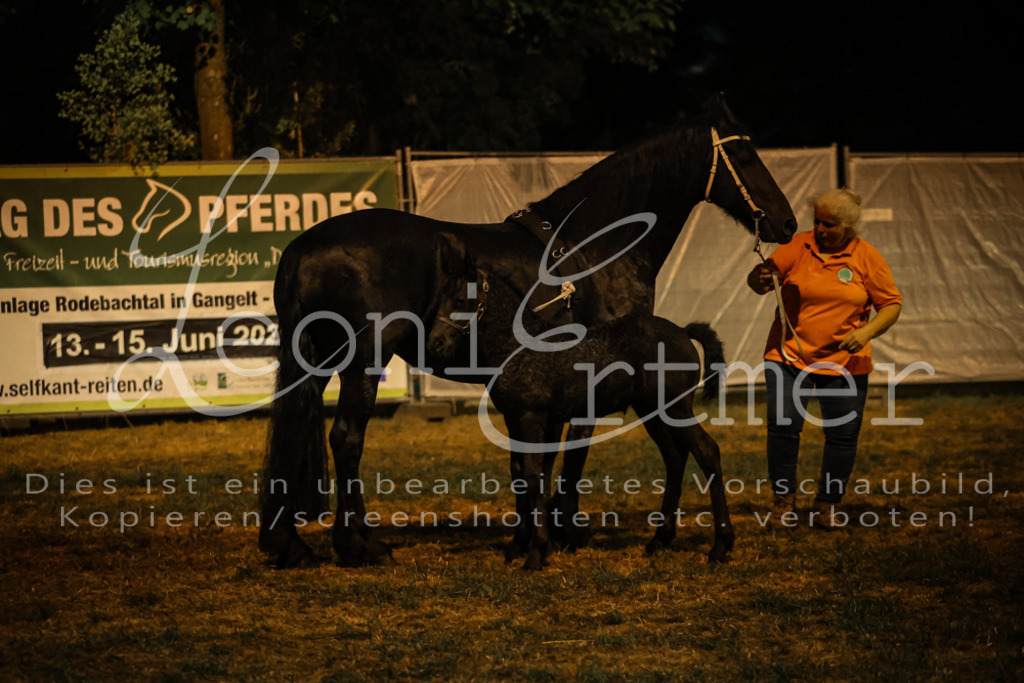 SaShow00348 | Leoni Ertmer Photography - Realisiert mit Pictrs.com