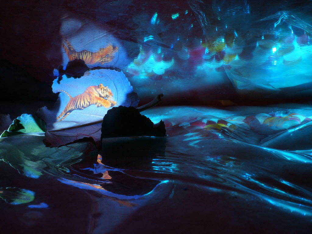 Tiger | cornelia-geissler - Realisiert mit Pictrs.com