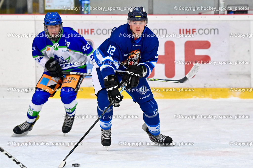  EC Tigers Paternion vs. EC Virgen 8.1.2022 | #12 Steiner Domenik