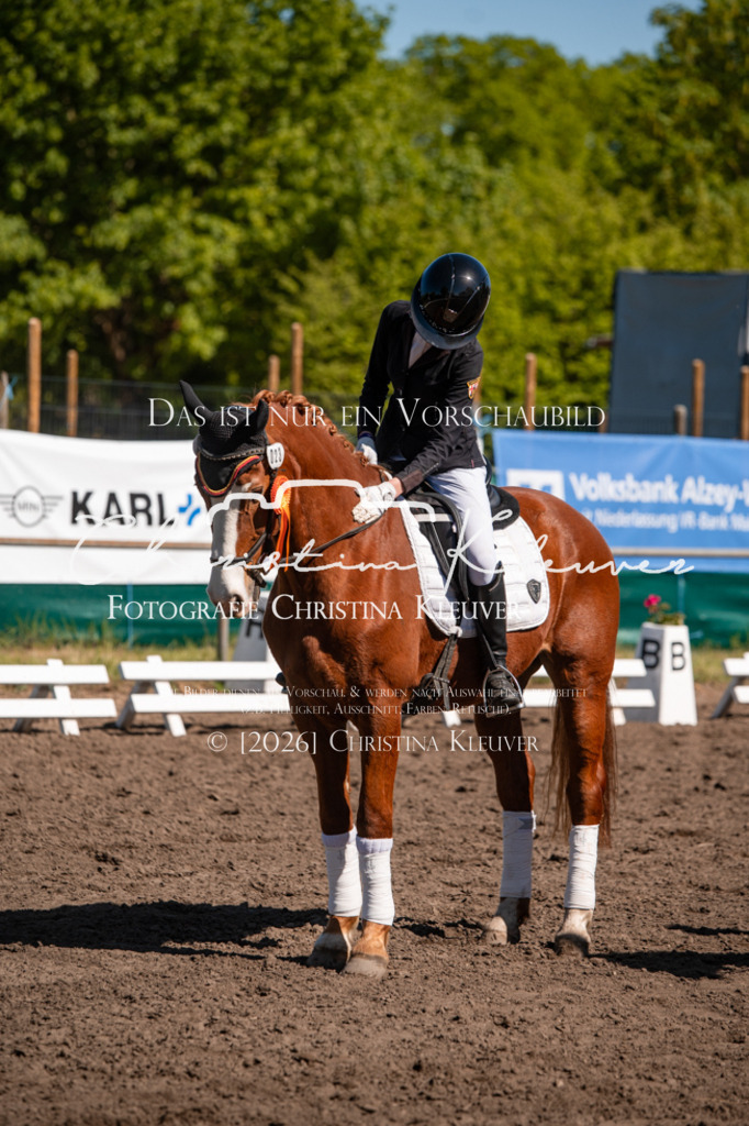 DSC_0406 | Christina-Kleuver