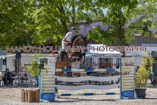 26-7-24 SPF m++-720 | mandyhollmannphotographie