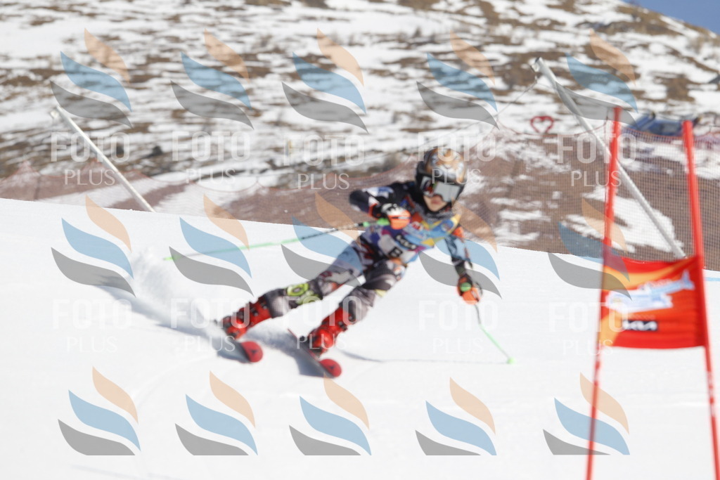 _U3G8477 | holidayphoto