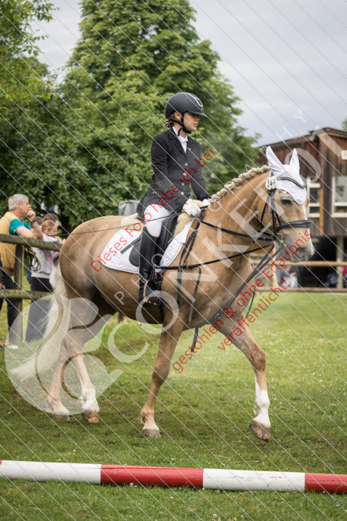 IMG_1596 | Sport-, Event- und Tierfotos in Profiqualität. Einfach auswählen, bestellen und herunterladen. Dein Moment – perfekt festgehalten.