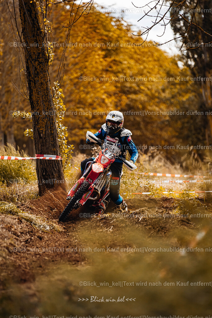 E68A2306 | blick_win_kel