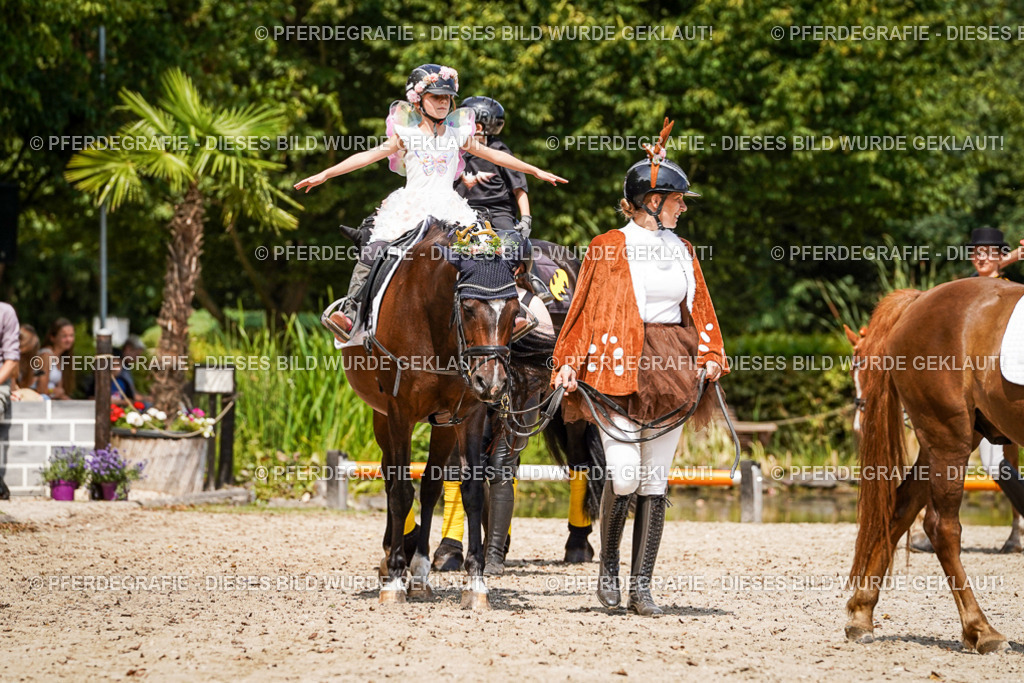 DSC03027 | Pferdegrafie