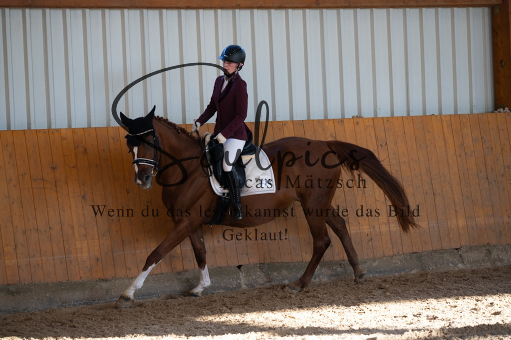 A7V01644 | Turnier/Reitfotograf