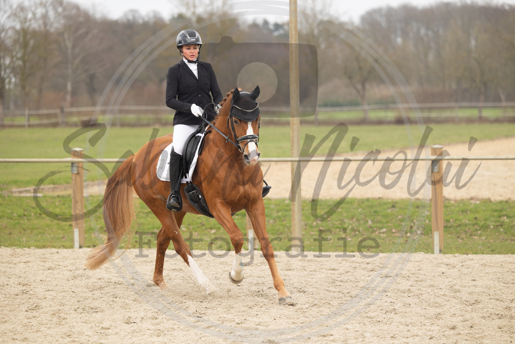 994A8790 | sabrinanicolaifotografie - Realisiert mit Pictrs.com