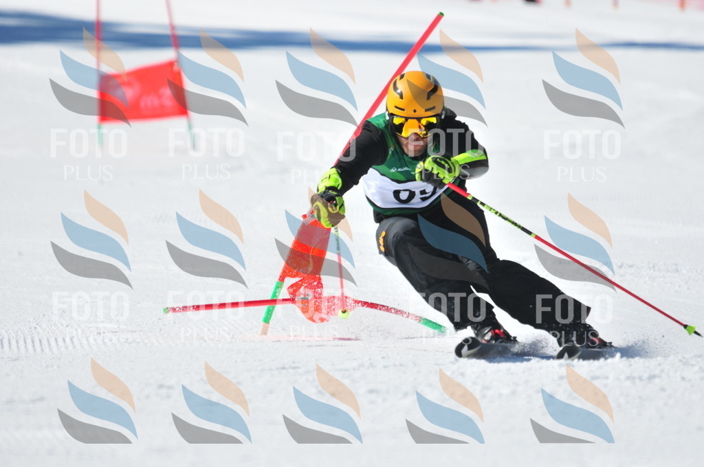 C3345 | holidayphoto