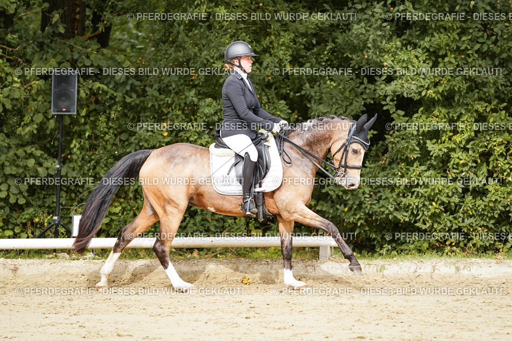 DSC02816 | Pferdegrafie